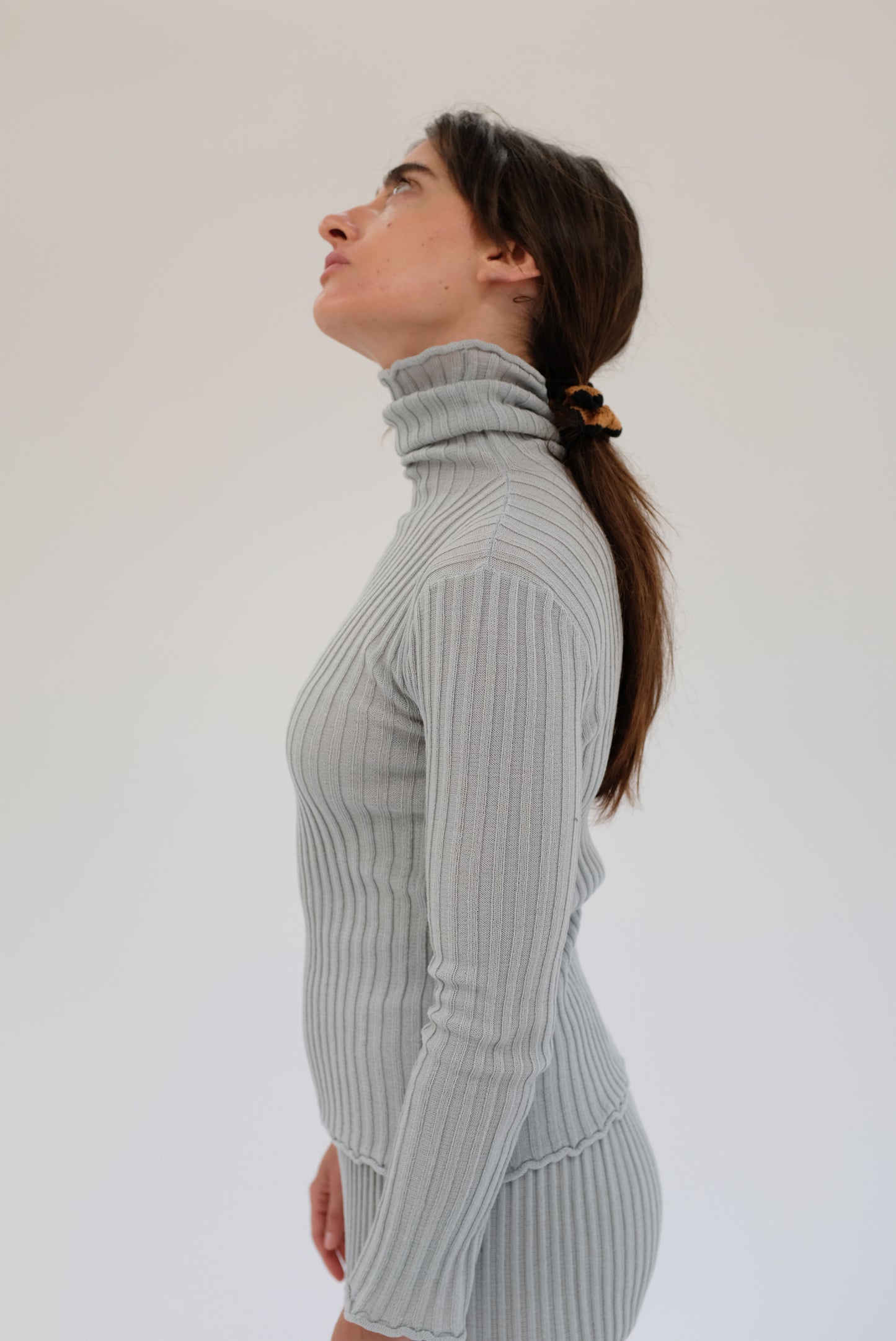 Beklina Merino Ribbed Turtleneck Cement