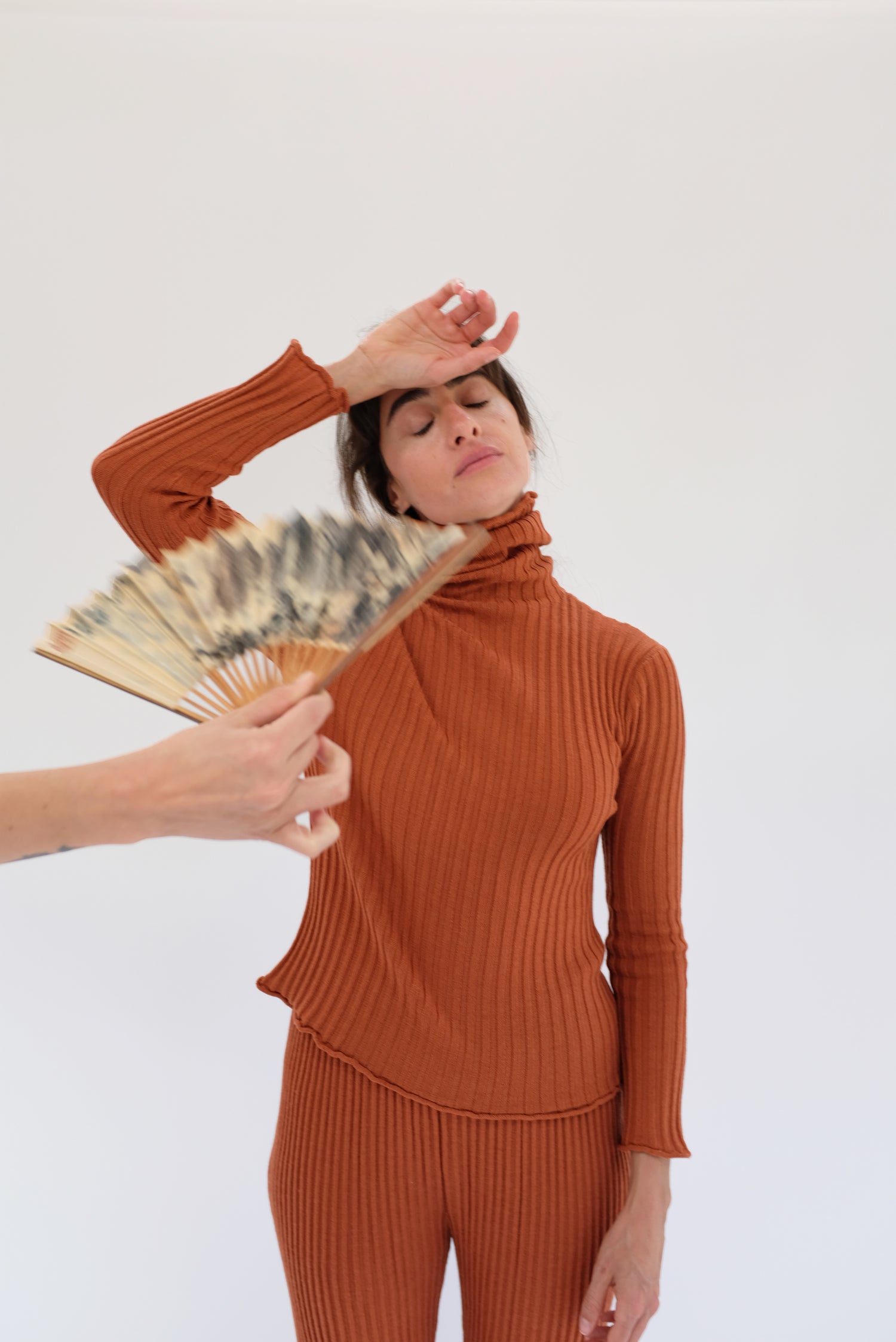 Beklina Merino Ribbed Turtleneck Terracotta